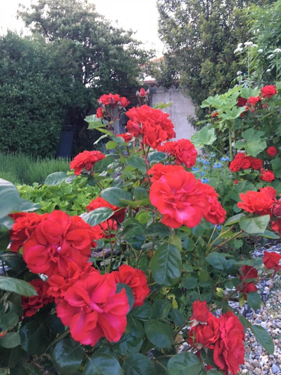 Campagn'Art Bed & Breakfast Les Fosses Luaran gambar